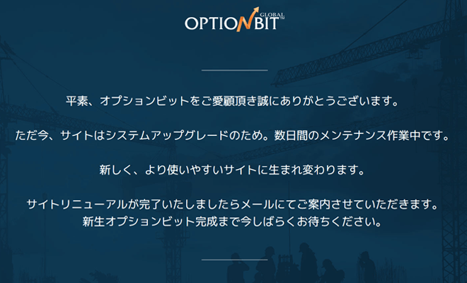 オプションビット メンテナンス